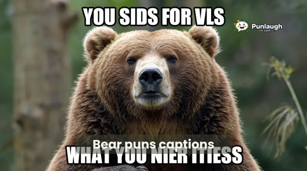 Bear Puns Captions