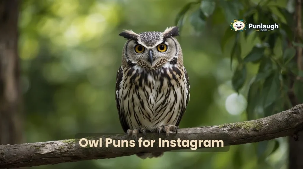 Owl Puns For Instagram